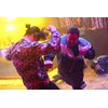 犯罪都市 NO WAY OUT [Blu-ray]