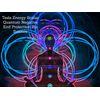 Tesla Energy Scalar EMF Reducer