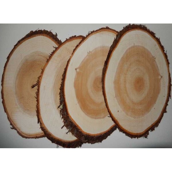 Maine Natural Cedar Oval Grilling Planks