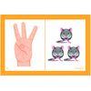 Didax Educational Resources Same But Different Cards, Grades K-2, Multicolor