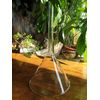 Funnel, 15 cm Diameter (Pack of 2)
