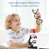 Thames & Kosmos Genetics & DNA Lab 10x2.5x11 inch