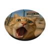 Cat Selfie Funny Area 51 PopSockets Adhesive PopGrip