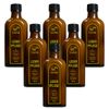 TAPIR - Leather Care in Brown Glass Bottle - 100 ml - Pack of 6, transparent