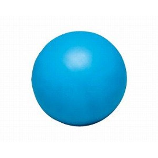 Small Balance Ball 20 cm Diameter nh3000 (hadachi Industrial) (Recreation, Playground)