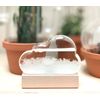 Maestro Storm Cloud Barometer Gift