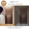 Iris Ohyama SCL20NMS-UU Small Ceiling Light, Thin, 2,000 lm, Motion Sensor Included, Daylight White