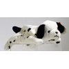 Dotty the Dalmation - Ty Beanie Baby