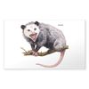 CafePress Opossum189 Sticker (Rectangle 10 pk)
