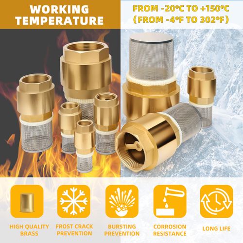 Foot Valve with Filter 1" NPT, Brass Bottom Valve, Non Return Spring Vertical Check Valve to Filter Impurities, Prevent Backflow of Media for Water Pump, Irrigation, Industrial Piping System DN25