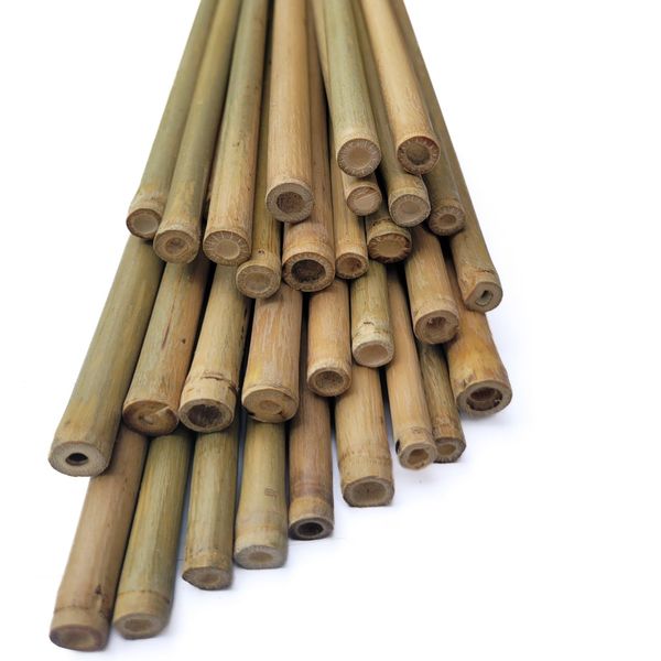 LJAAJSUV 20 Pcs - 16 inches Plant Stakes Natural Garden Bamboo Sticks for Indoor and Outdoor Plants, Plant Support Stakes for Tomatoes, Beans, Potted Plants.