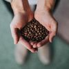 Coffee Bean Direct Decaf Hazelnut Flavored, Whole Bean Coffee, 5 Pound Bag (Pack of 1)
