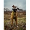DOOG The Sticks - Barkley Fetch Toy