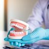 Standard Dental Study Model - Adult Simulation Teeth Model Display, Teeth Structure Model for Students Kids Learning Education Practice Examination etc