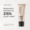 BareMinerals Complexion Rescue Tinted Moisturizer For Face SPF 30 Cinnamon 10.5
