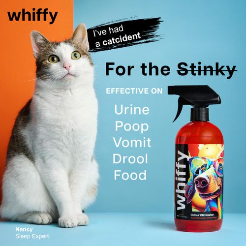 Whiffy | 750ml | XL Pet Odor Eliminator - Orange/Citrus, for Home, Carpets, Furniture, and More - Cats & Dogs- 24oz