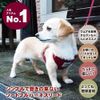 DOG STYLISH BASIC Sorted Full Harness Leads (Navy Blue, M)