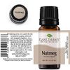 Plant Therapy Nutmeg Essential Oil 10 mL (1/3 oz) 100% Pure, Undiluted, Therapeutic Grade