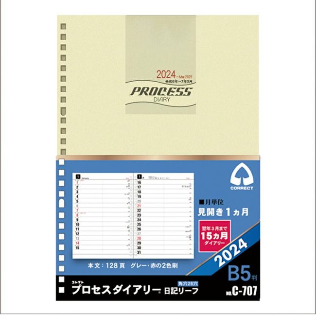 Collect C-707 2024 Diary Leaf (Process Diary for 15 Months) 1 Month Horizontal Rule, B5, 26 Holes