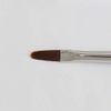 SHAREYDVA Charedowa Gel Brush Fill in Plus (Cap Included)