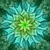 Hoffman Dream Big Leaf Digital Panel R4617 74 Mint 43" X 43" Digital Panel