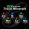SMARTERVITAMINS - ZINC Glycinate Boosted with 5 Extra Essential TRACE MINERALS
