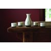 True Fervor Ceramic Sake Set Includes Four 3.5 oz Small Cups & One 8 oz Carafe for Gin, Japanese Tea, Herbal Teas, Drinkware, Home Bar, 5-Piece, White