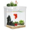 Smart Betta Fish Tank 1.5 Gallon Aquarium kit self Cleaning, Filter LED Light...