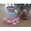 Ancient Wisdom Soy Wax Melts Jar (Midnight Jasmine)