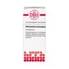Ammonium bromatum C200 DHU Globuli, 10 g GLO