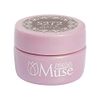 PREANFA PREGEL Muse Color Gel Veil Greige 272 3g PGU-S272 Gel Nail