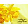 Daffodils Easter Greeting Card - Landscape