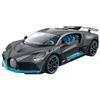 DOYUSHA RASTAR 1/24 Bugatti DIVO Gray Finished Product