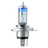 Flosser 213020