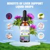 Liver Detox and Cleanse Liquid Drop Extra Strength Milk Thistle Seed Extract