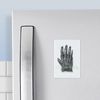 CafePress Monkeys Paw Magnets Rectangle Magnet, 3"x2" Refrigerator Magnet