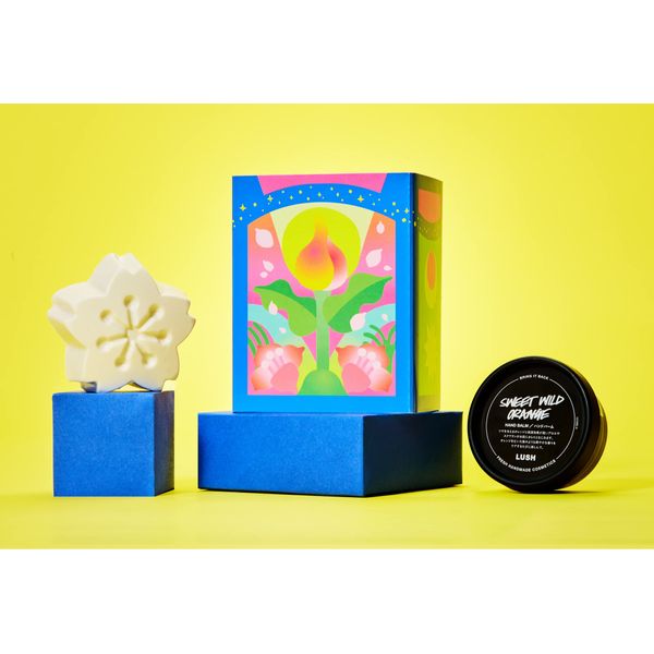 LUSH Brilliant Gift 2023 Package White Day Gift