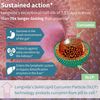 Longvida Lipidated Curcumin 500Mg, Ultra Bioavailable & Sustained Action, 65X...