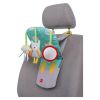 Taf Toys Play & Kick Car Toy