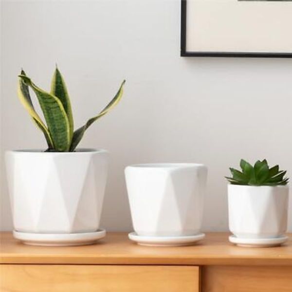 Octagon Ceramic Plant Pots Indoor White Flower Planter Set With Drainage Holes 6