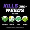 Ortho WeedClear Lawn Weed Killer Ready-to-Use1 Refill (South), Kills Dandelion and Clover, 1 gal.