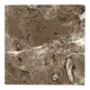 Fossil Brown 4x4 Polished Marble Floor Wall Tile Kitchen - Drink Coaster