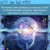 Memory Enhancement - Brain & Memory Complex 777mg - Memory Pills 3B