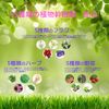 CHIECO Lotion CP / Lotion, Roses, Stem Cells, Plant Extract, Sensitive Skin, Stains, Moisturizing, Skin Moisturizing