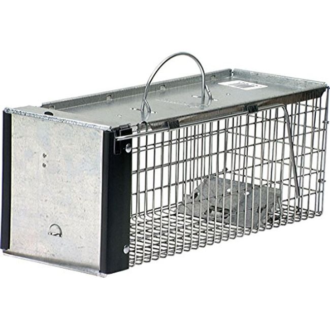 Iron Rat Mouse Trap Cage Single Door Live Animal Trap Compatible Indoor  Outdoor Small Animal