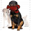 Tuffy Larry Lobster Dog Toy