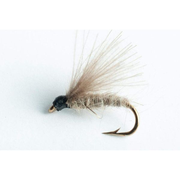 Blue Wing Olive CDC Caddis Dry Fly, 6 Pack (#22)