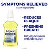 Cepacol Antibacterial Multi-Protection Mouthwash Original- 24 oz, Pack of 5