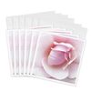 3dRose Greeting Cards - Powder Puff Pink - 6 Pack - Flowers