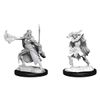 D&D Nolzur's Marvelous Miniatures: Winter Eladrin & Spring Eladrin